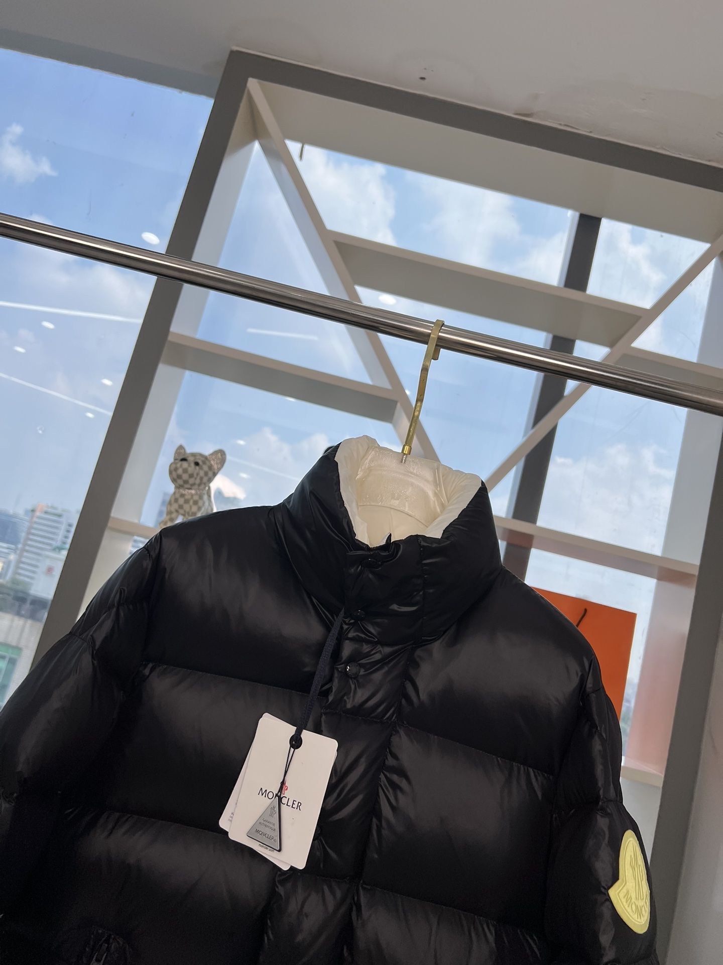 Moncler Down Jackets